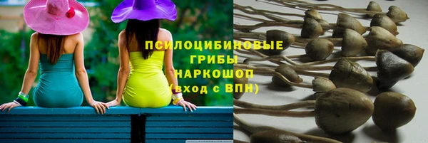 круглые Гусиноозёрск