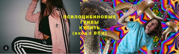 круглые Гусиноозёрск