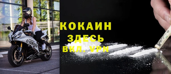 гидра Слюдянка